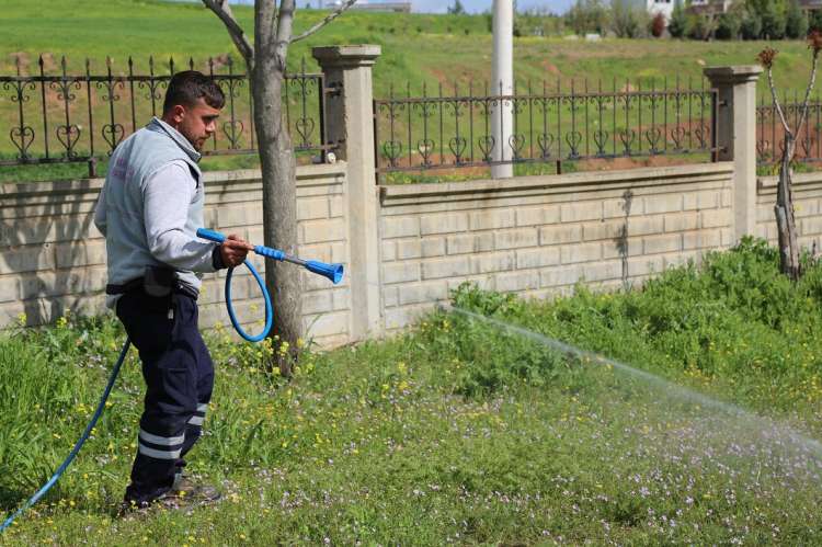 Şaredariya Çinarê li Seranserê Navçeyê Dest bi Xebatên Dermankirinê Kir