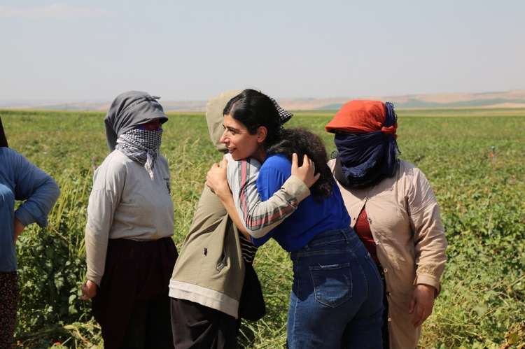 Pamuk Tarlasında Çalışan Emekçi Kadınlar Ziyaret Edildi 