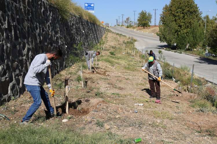 Ot Temizleme ve Çanak Açma Çalışması Gerçekleştirildi