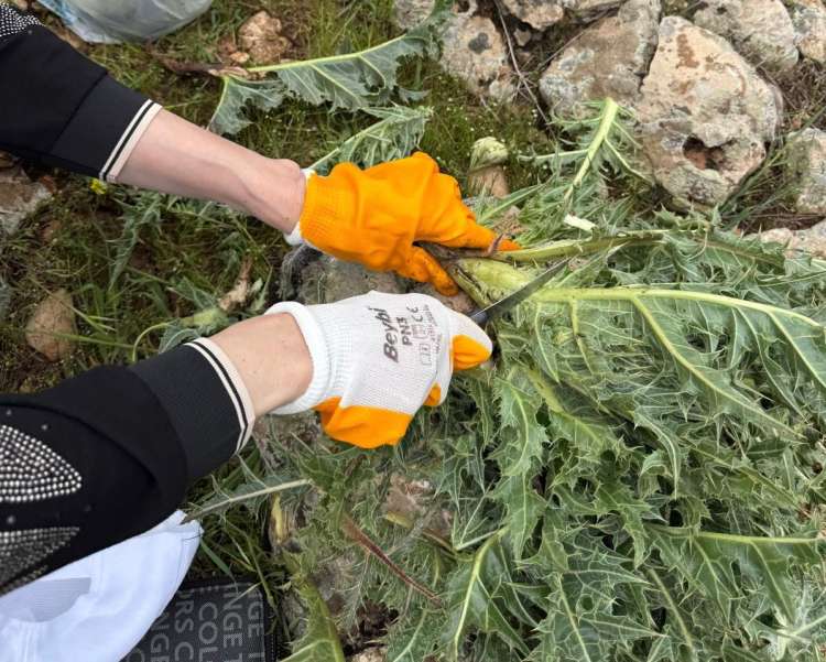 Çınar Belediyesi Jinwar Kadın Merkezi Kenger Toplam Etkinliği Düzenledi