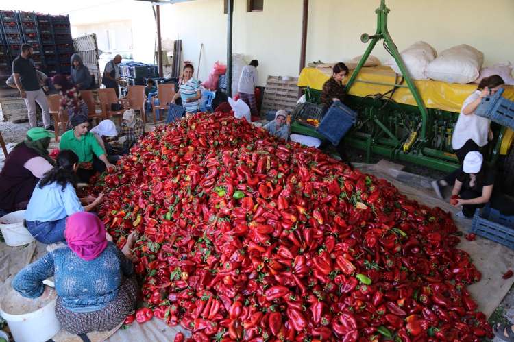 Selmanê’de Emekçi Kadınlar Ziyaret Edildi 