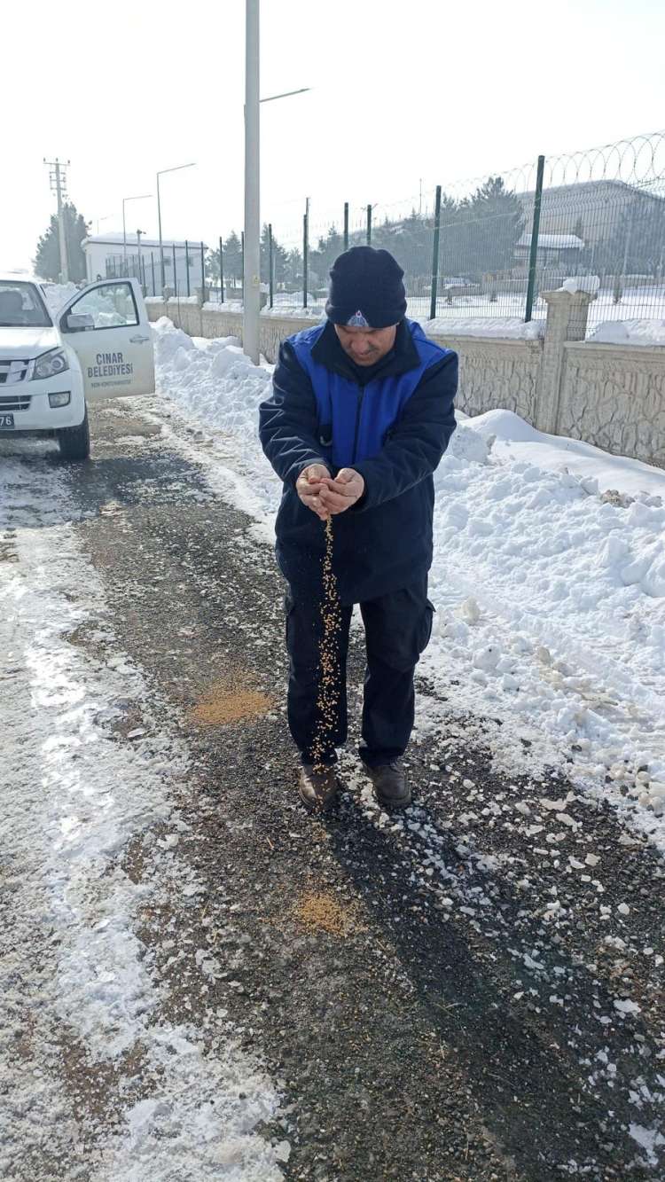 Karlı Havada Zabıta Ekiplerinden Kuşlara Yem Bırakıldı 