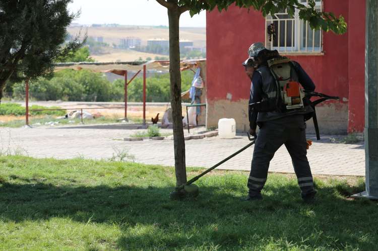 Çim Biçme Çalışmaları Devam Ediyor