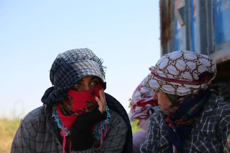 Tarlada Emekçi Kadınlar Ziyaret Edildi