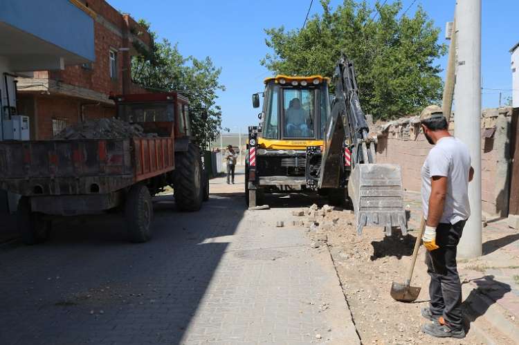 Parke Çalışmalarımız Devam Ediyor